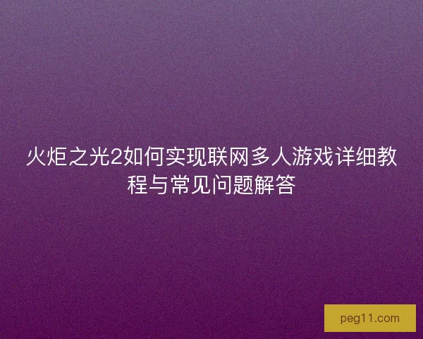 火炬之光2如何实现联网多人游戏详细教程与常见问题解答