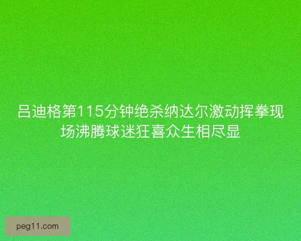 吕迪格第115分钟绝杀纳达尔激动挥拳现场沸腾球迷狂喜众生相尽显