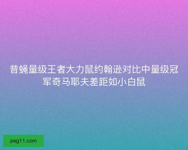 昔蝇量级王者大力鼠约翰逊对比中量级冠军奇马耶夫差距如小白鼠